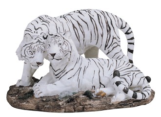 White Tiger Couple | GSC Imports