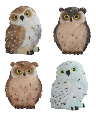 Owl Set | GSC Imports