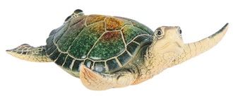 Green Sea Turtle | GSC Imports