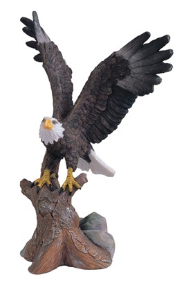 Eagle on Tree Trunk