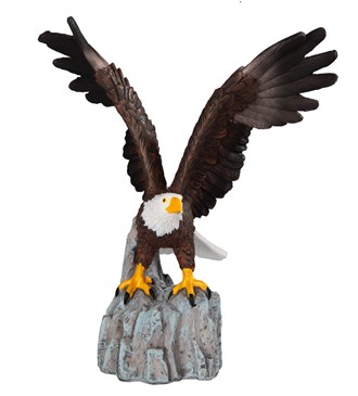 Eagle on Rocks