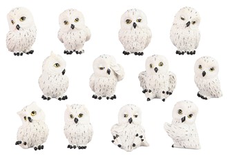 Mini Snowy Owl, 12 pc Set