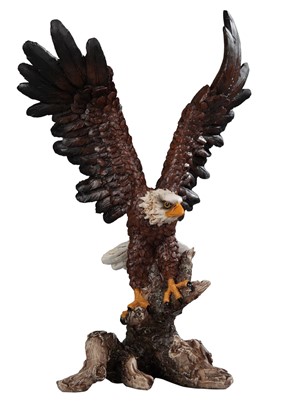 Eagle Taking off