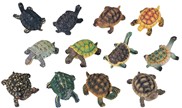 View Miniature Turtle set