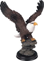 View Eagle