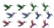 View Magnets-Hummingbird