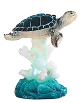 View Sea Turtle on Coral with LED