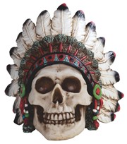 View Skull with Warbonnet