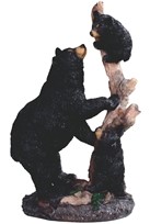 View Bear with Cubs on Tree