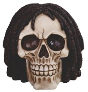 View Skull with Curly Hair