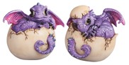 View Purple Dragon Egg