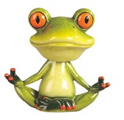 View Frog, Bubble Head Yoga