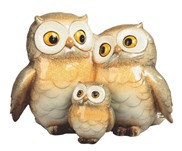 View Owl Family