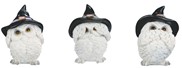 View Owl with witch hat set