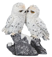 View Owl Snow Kissing