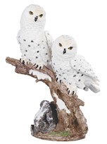 View Owl Snow Couple