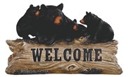 View Bear Log-WELCOME