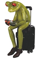 View Frog Sitting on Suitcase
