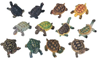 2" Miniature Turtle Set | GSC Imports