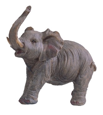 Elephant | GSC Imports