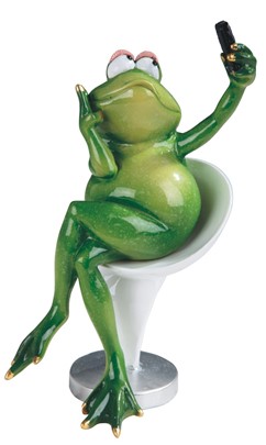 7 1/2" Frog Selfie | GSC Imports