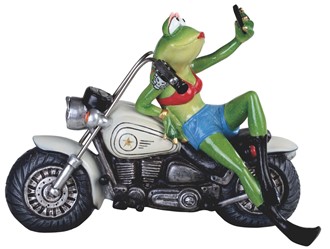 Motorcycle Trans