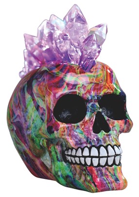 LED Skull with Rainbow Punk Hair | GSC Imports