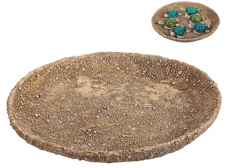 Display Dish for Mini Sea Turtle | GSC Imports