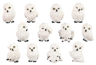 Mini Snowy Owl Set | GSC Imports