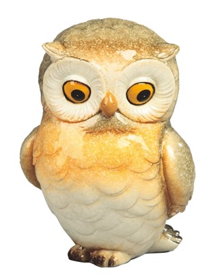 Owl | GSC Imports