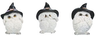 Owl with witch hat set | GSC Imports