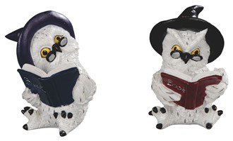 Owl Reading set | GSC Imports