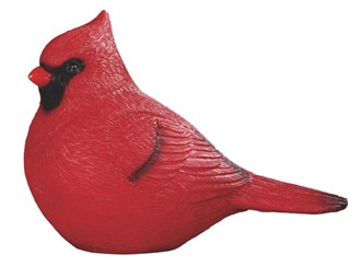 Cardinal | GSC Imports