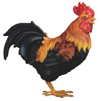 Rooster | GSC Imports