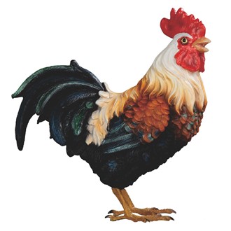 Rooster | GSC Imports