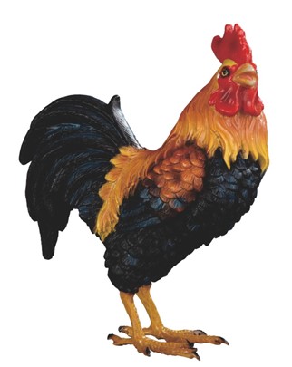 Rooster | GSC Imports