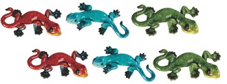 Lizard Magnets 6 pc set | GSC Imports