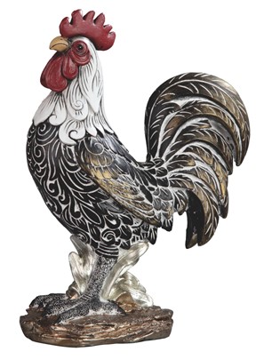Rooster-Campine | GSC Imports
