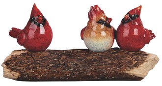 Cardinal on Branch | GSC Imports