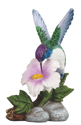 Hummingbird | GSC Imports