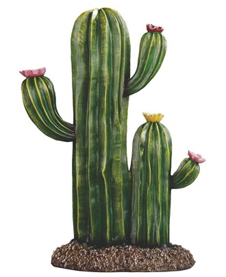 Cactus | GSC Imports