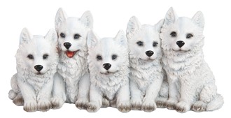 5 Wolf Cubs | GSC Imports