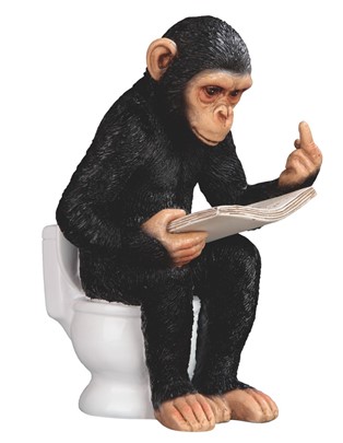 Chimpanzee Reading News Paper | GSC Imports
