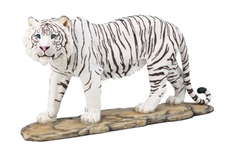 White Tiger