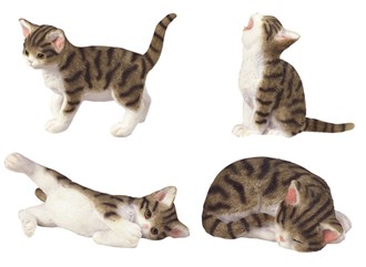 4 Mini Cats Set