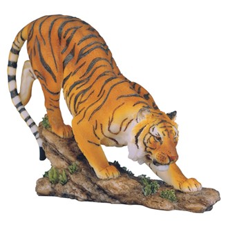 Bengal Tiger