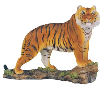 Bengal Tiger