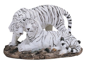 White Tiger Couple