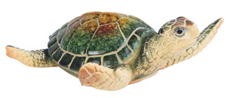 Sea Turtle Small Green