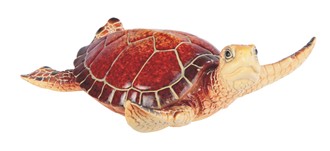 Sea Turtle Brown